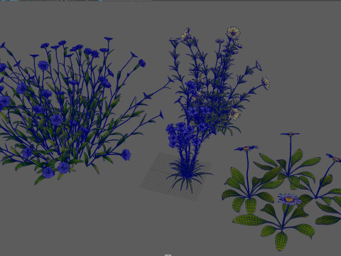Flower plant shrub 3D Model