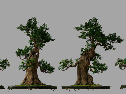 Big tree 3D Model