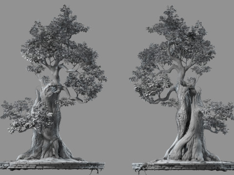 Big tree Modello 3D