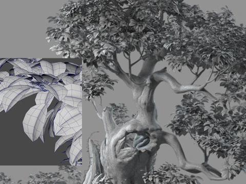Big tree 3D Model