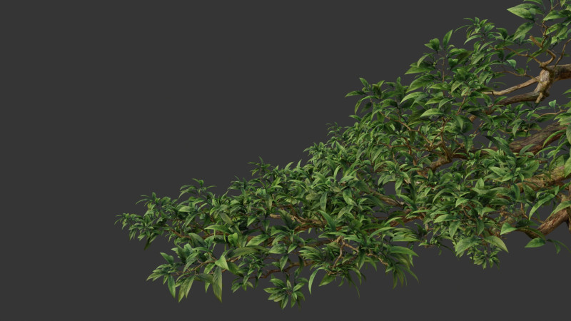 Tree branch leaf 3D Model .c4d .max .obj .3ds .fbx .stl .blend 