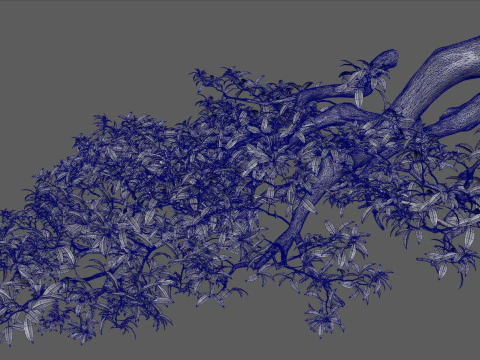 Folha de galho de &aacute;rvore Modelo 3D