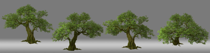 Tree trunk leaf Modello 3D .c4d .max .obj .3ds .fbx .stl .blend 