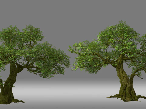 Foglia del tronco d'albero Modello 3D