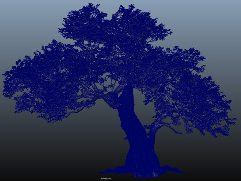 Tree trunk leaf Modello 3D