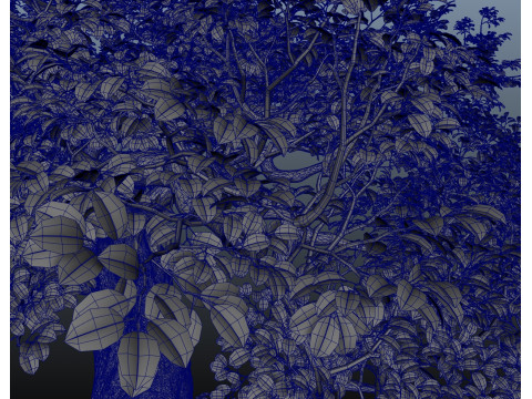Tree trunk leaf Modello 3D