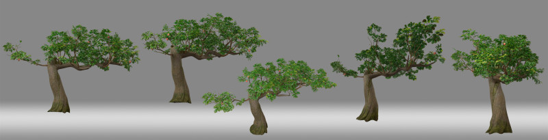 Tree shrub plant leaf Modèle 3D .c4d .max .obj .3ds .fbx .stl .blend 
