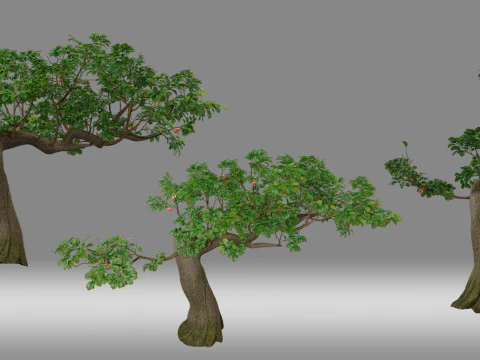 Boom struik plant blad 3D Model