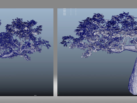 Tree shrub plant leaf Modèle 3D