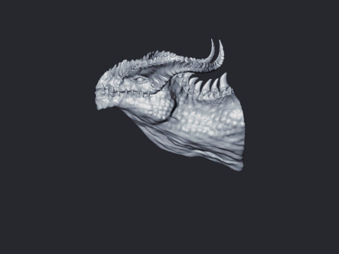 Realistic Dragon Busto Modèles 3D en vedette