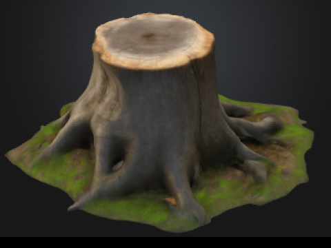 Treestump 3Dモデル