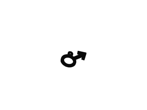 Gender Symbol Keychain 3D Print Model