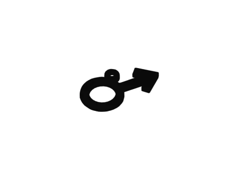Gender Symbol Keychain 3D Print Model