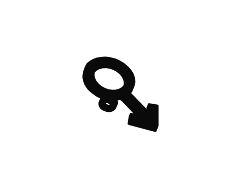 Gender Symbol Keychain 3D प्रिंट मॉडल