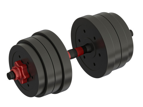 DUMBBELLS 3D Model