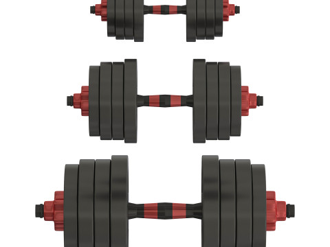 DUMBBELLS 3D Model