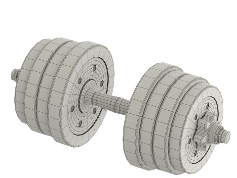DUMBBELLS 3D Model