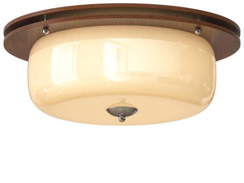 Glass Dome Ceiling Light Modelo 3D