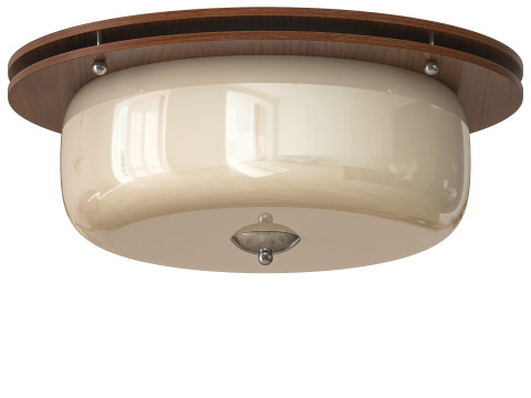 Glass Dome Ceiling Light 3D Modell