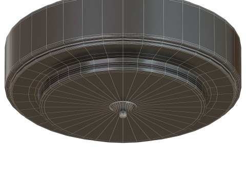 Lumineo Ceiling Light 3D Model