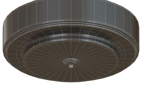 Lumineo Ceiling Light 3D Model