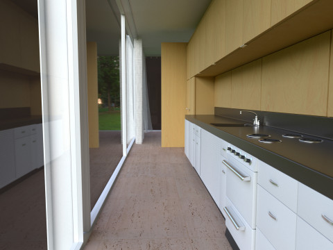 Farnsworth House 3D Model