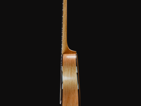 Guitar 3D मॉडल