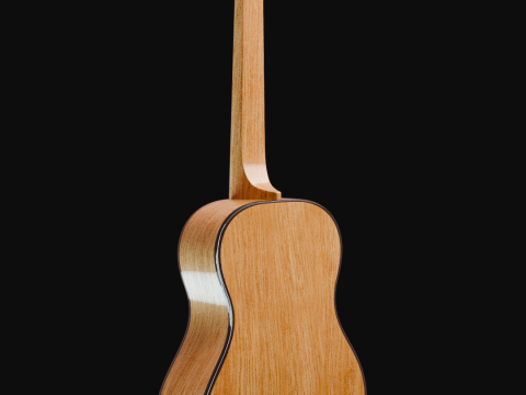 Guitar 3D मॉडल