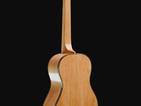 Guitar 3D Model