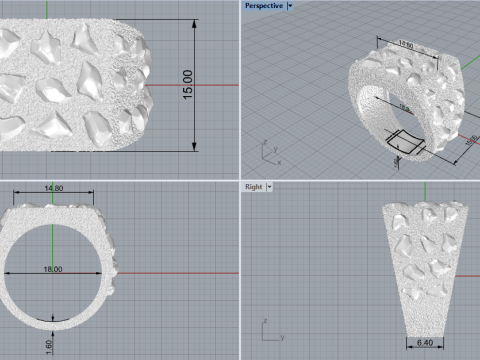 Nugget ring model 1036 Modelo de Impressão 3D
