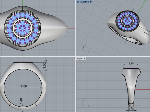 Signet ring model 1034 3Dプリントモデル
