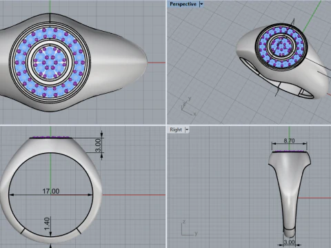 Signet ring model 1034 3D Print Model