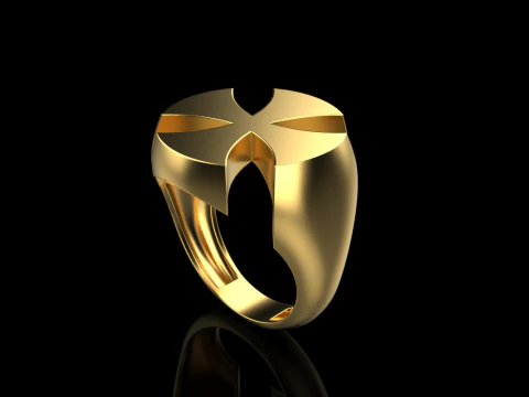 Signet cross ring model 1026 3D Print Model