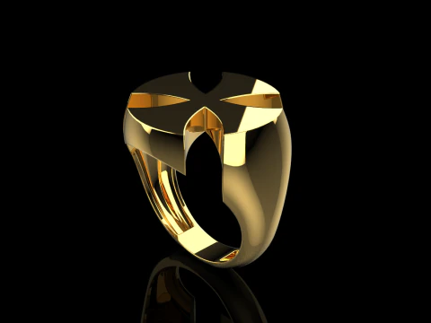 Signet cross ring model 1026 3D Print Model