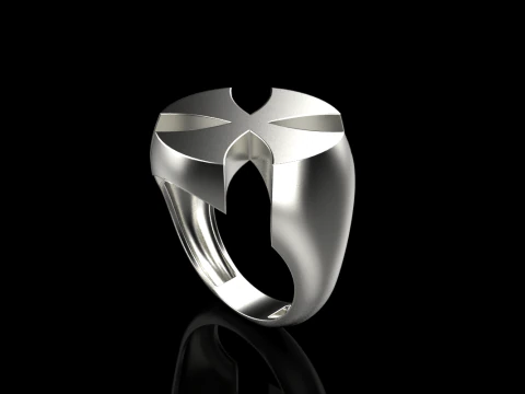 Signet cross ring model 1026 3D Print Model
