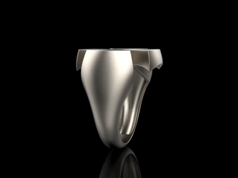 Signet cross ring model 1026 3D Print Model