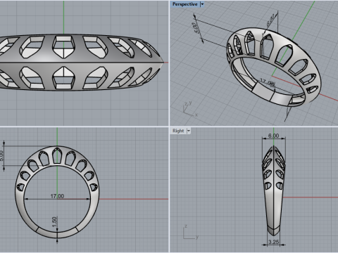 Fashion ring model 1025 Modelo de Impressão 3D