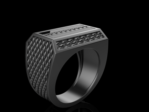 Signet ring model 1024 3D Print Model