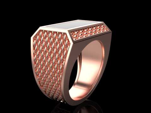 Enamel signet ring model 1021 3D 프린트 모델