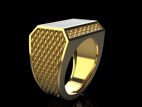 Enamel signet ring model 1021 3D 프린트 모델