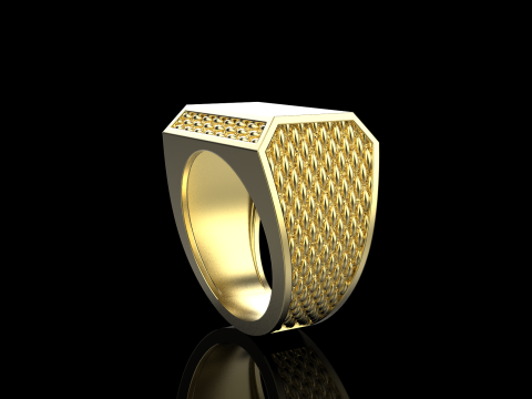 Signet ring model 1020 Modello di stampa 3D