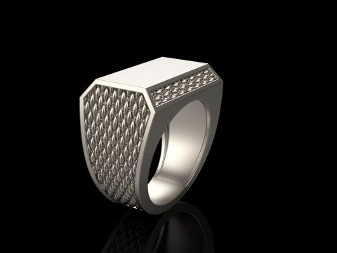 Signet ring model 1020 Modello di stampa 3D