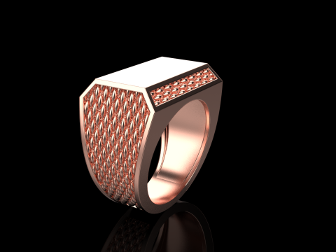 Signet ring model 1020 Modello di stampa 3D