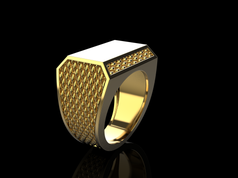 Signet ring model 1020 Modello di stampa 3D