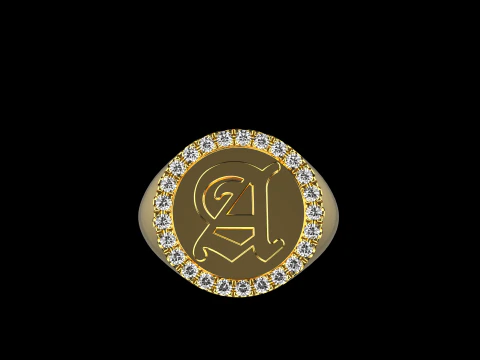 Anel de sinete inicial modelo 1009 Modelo de Impressão 3D