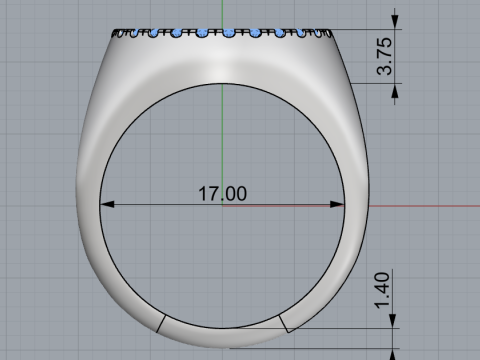 Initial signet ring model 1009 3D Druckmodell