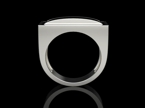 Enamel ring model 1008 3D Print Model