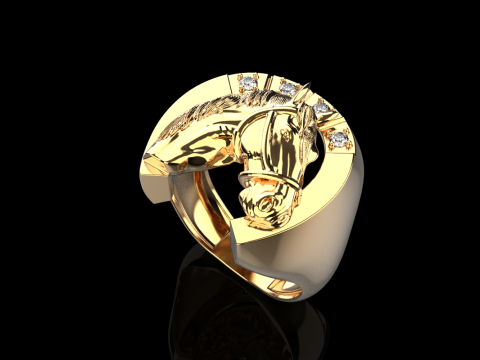 Horse ring model 1001 Modello di stampa 3D