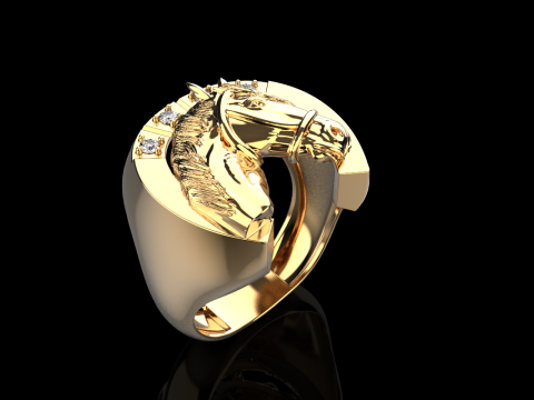 Horse ring model 1001 Modello di stampa 3D