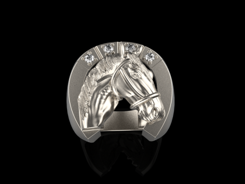 Horse ring model 1001 Modello di stampa 3D